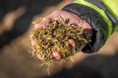 Carlsberg Malaysia's Biomass Boiler Switch to Cut Carbon Emissions