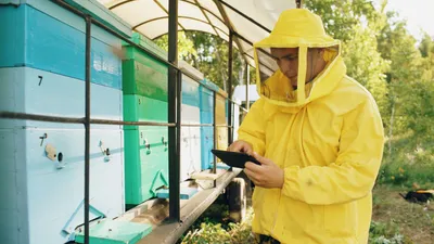 Henkel and Capgemini Automate Carbon Footprint Calculations for 50,000 Products