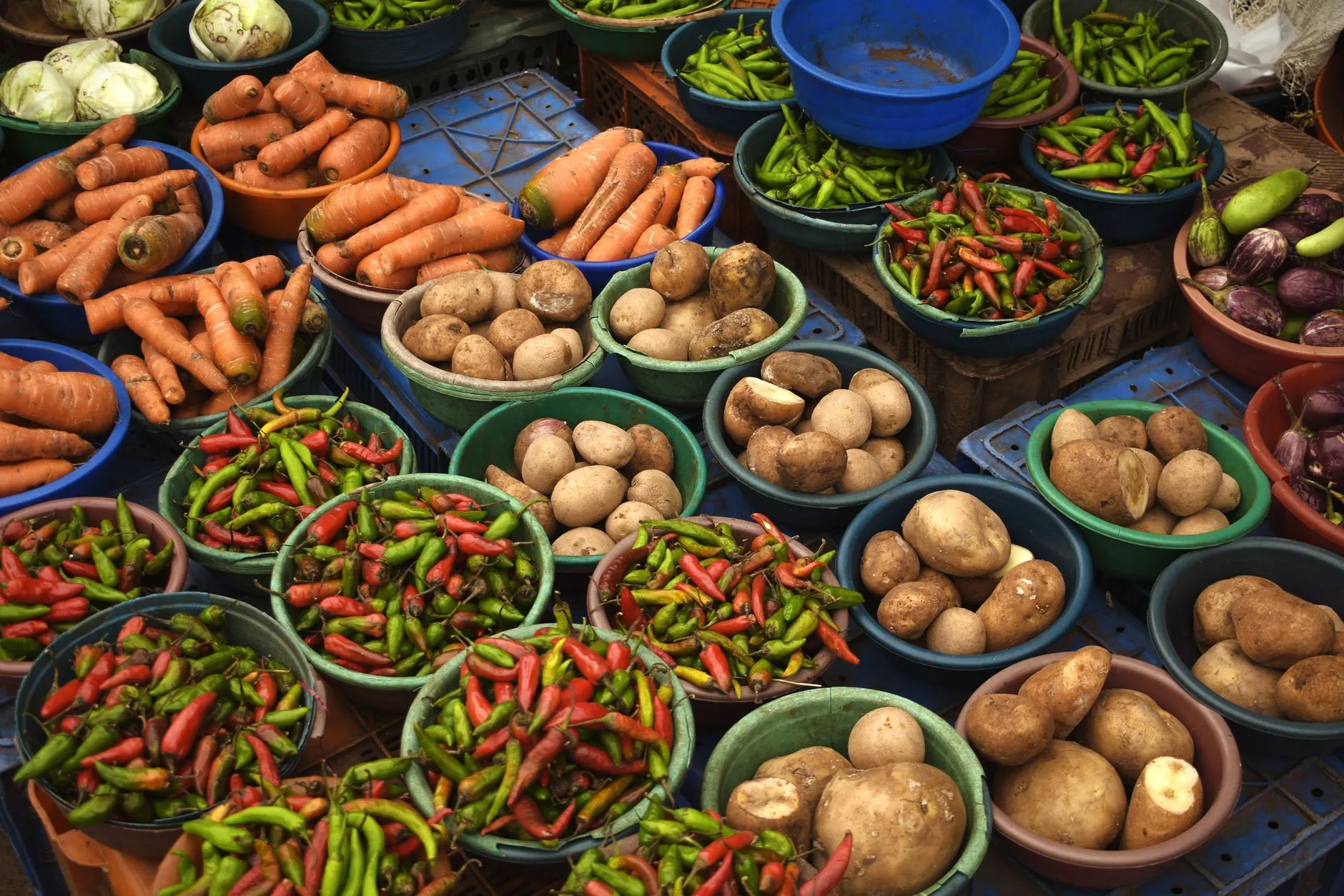 4 Startups Tackling Global Food Waste