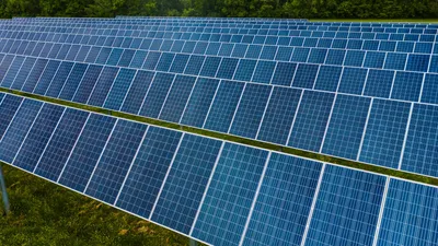 How Riverford is Cutting Emissions with Renewable Energy