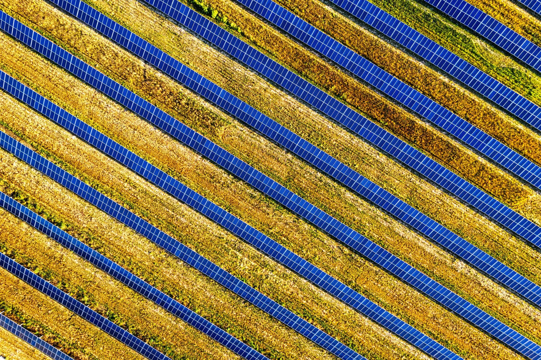 Octopus Energy invests in solar farms to power 10,000 homes